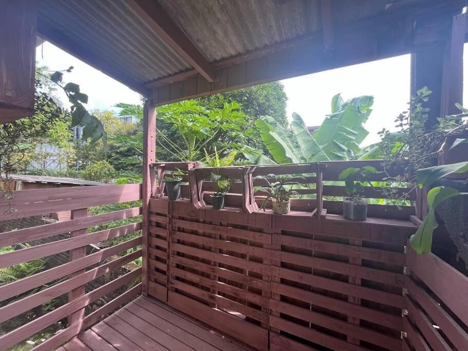 Hostel Pantanal Em Florianopolis Bagian luar foto